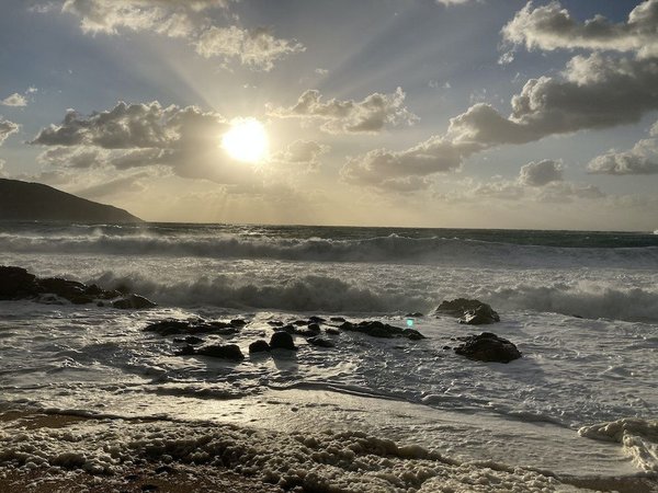 Les saveurs méditerranéennes à découvrir dans la cuisine italienne