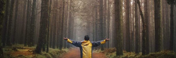 Repas végétariens légers et satisfaisants