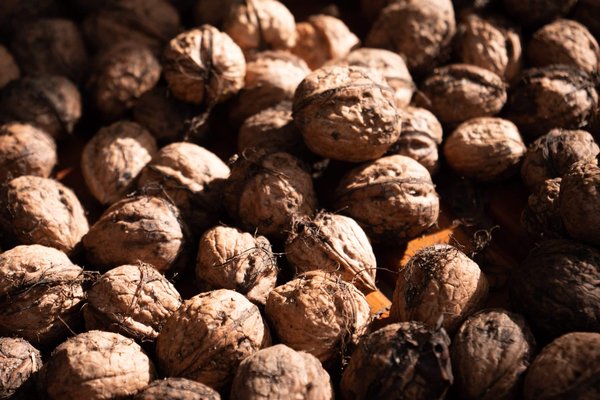 Recettes de salades complètes et nourrissantes